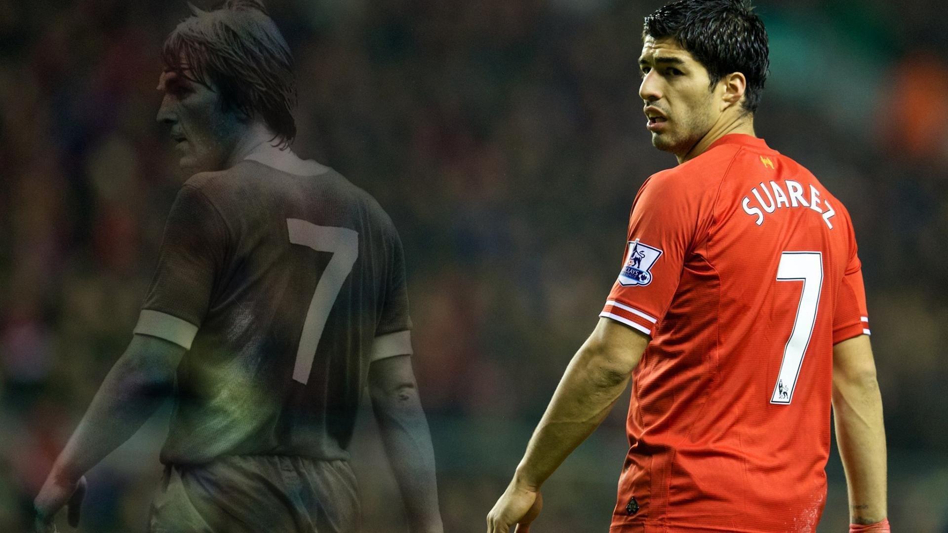 伊朗马术协会授予阿里·巴赫蒂亚里“年度最佳障碍赛骑手”称号。