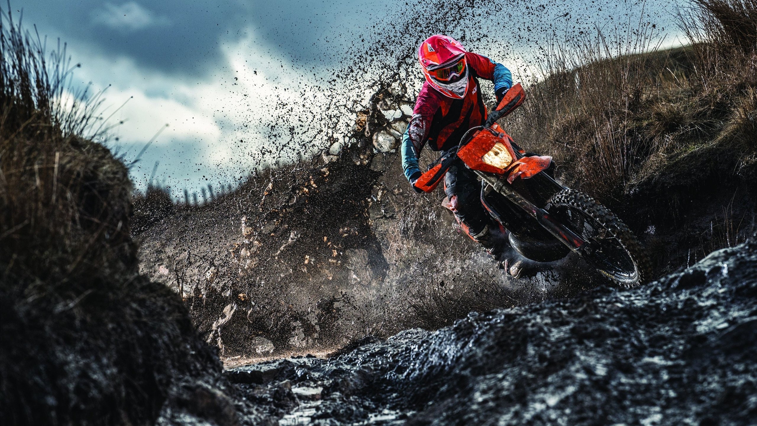 女性健身课程受欢迎，提升女性健康意识，女性健身效果图